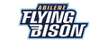 Abilene Flying Bison