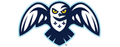 Toundra de Montréal - GROUPE DE BASKETBALL DE MONTREAL INC.