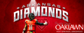 Arkansas Diamonds Arena Football