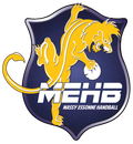Massy Essonne Handball