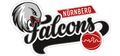 Nürnberg Falcons