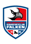 Heilbronner Eishockeyclub Falken