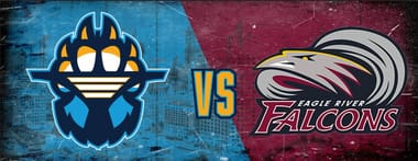 Milwaukee Timberwolves vs. Eagle River Falcons