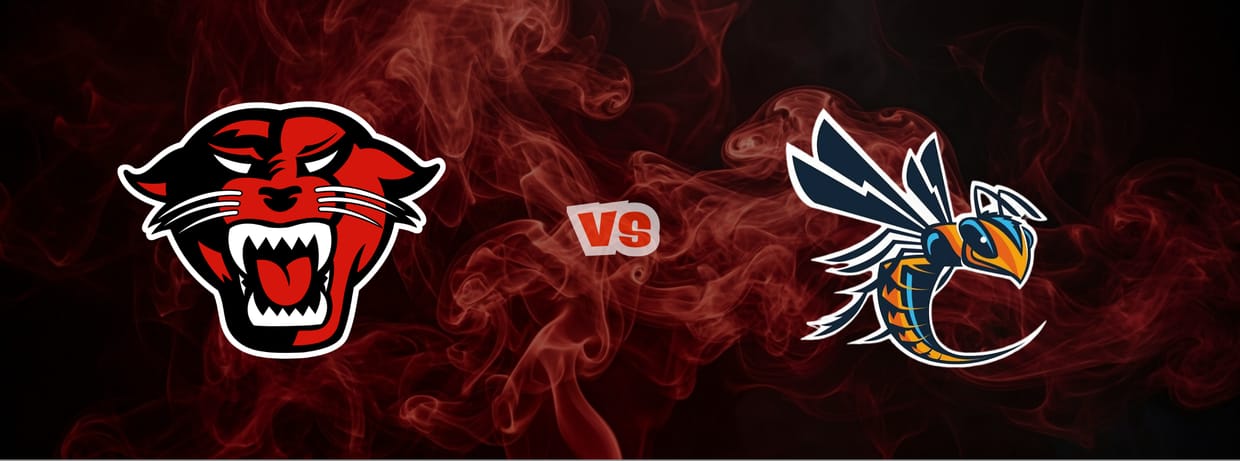 Women's Basketball vs. Cedarville