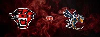 Women's Basketball vs. Cedarville