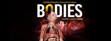 Bodies Exhibition | Guatemala 2025