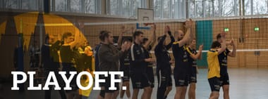 3. Liga PlayOff