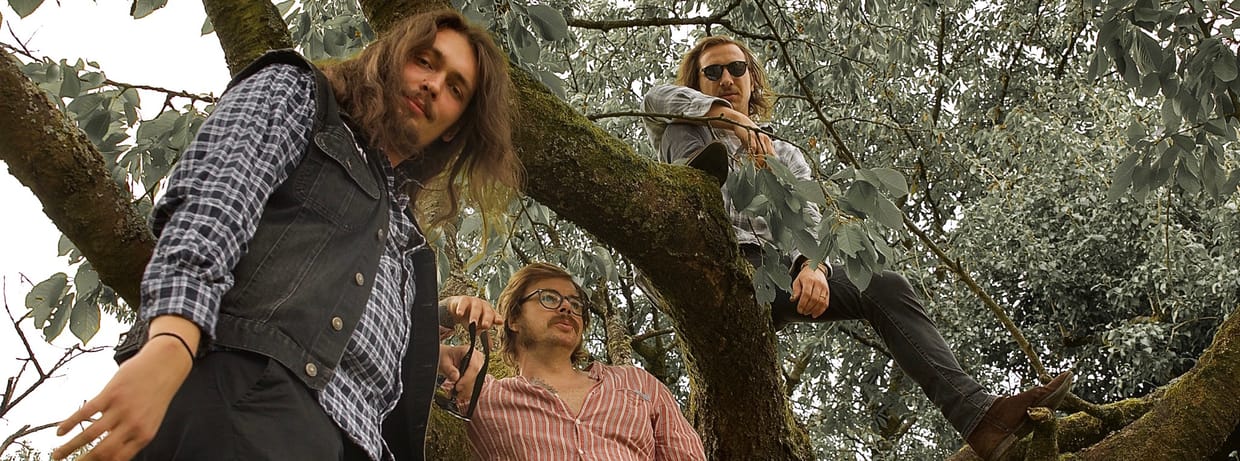 Wayne Campbell & The Dreamcatchers / Daily Thompson / City Crows @ Haas Säle Bamberg