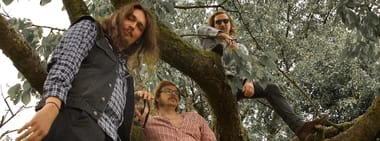Wayne Campbell & The Dreamcatchers / Daily Thompson / City Crows @ Haas Säle Bamberg