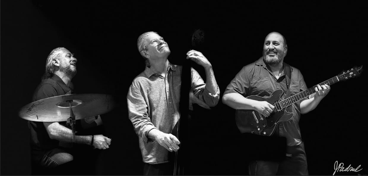 Friday Night Jazz in the Garden-The LaRue Nickelson Trio