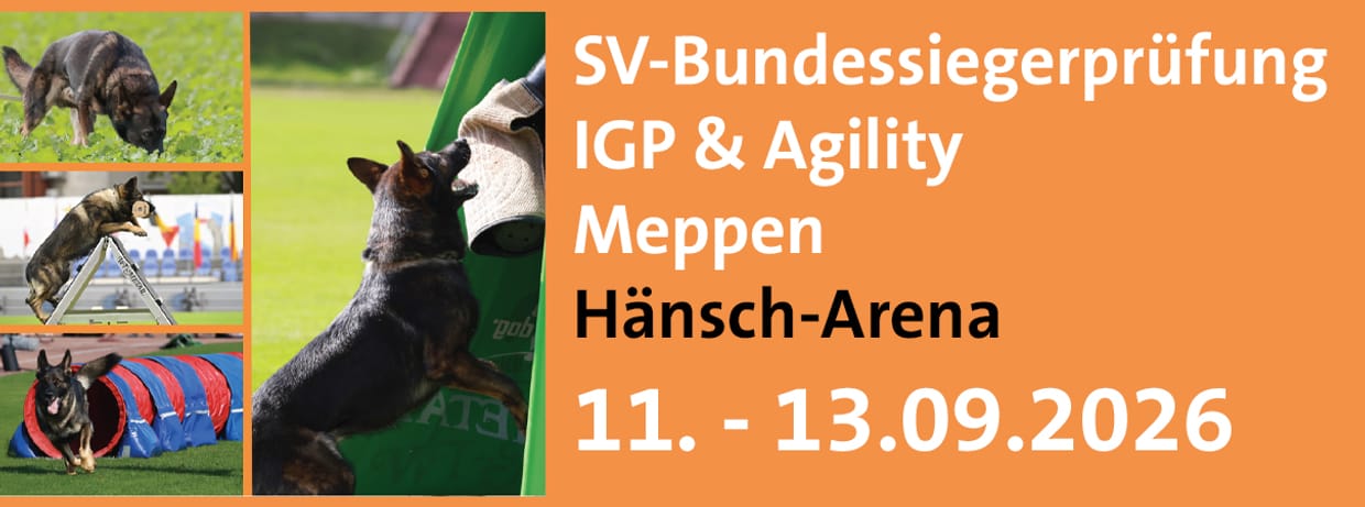 SV-Bundessiegerprüfung IGP & Agility 2026 in Meppen
