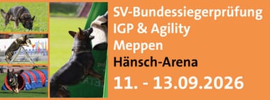 SV-Bundessiegerprüfung IGP & Agility 2026 in Meppen