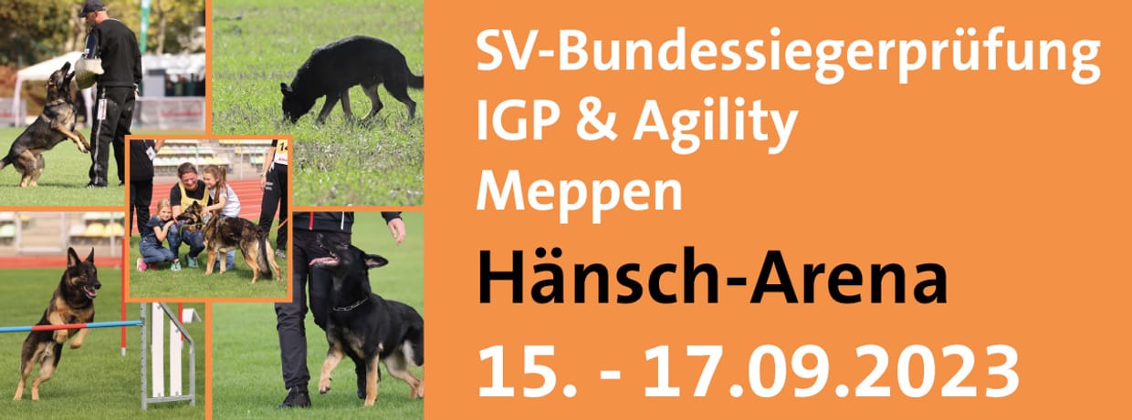 SV-Bundessiegerprüfung IGP & Agility 2023 in Meppen