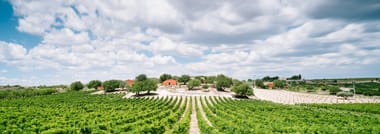 SIZILIEN IM GLAS: WINZERDINNER MIT PLANETA