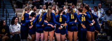 2026 Lion Volleyball Season Tickets