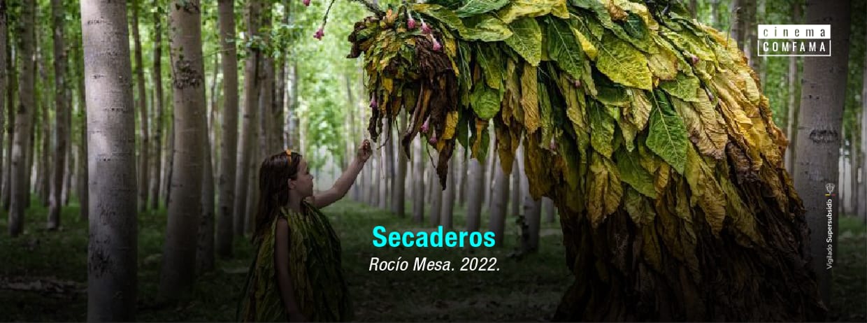 Secaderos