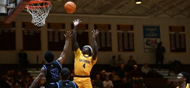 Men's Basketball vs. Gallaudet