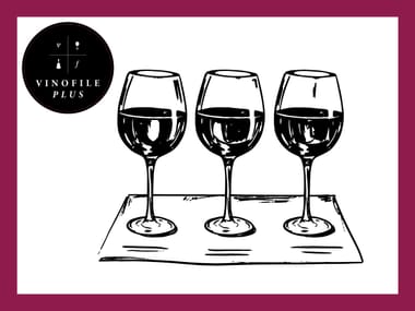 Vinofile Plus Pickup Party