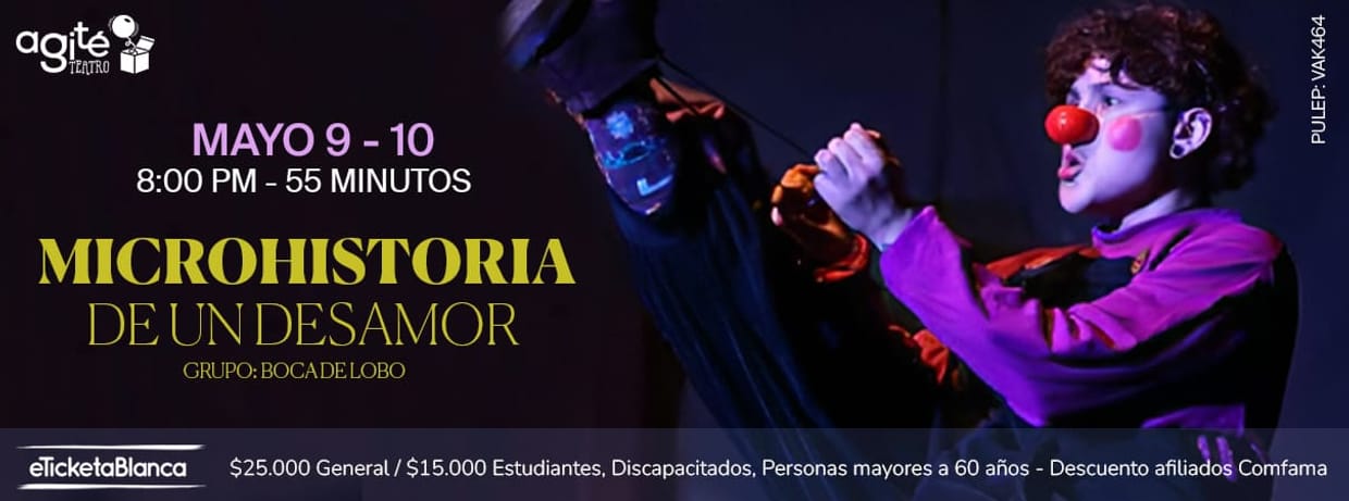 MICROHISTORIAS DE UN DESAMOR
