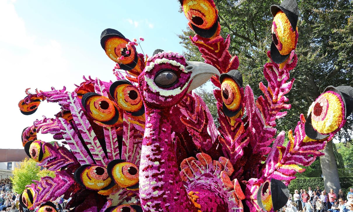 Bloemencorso Lichtenvoorde