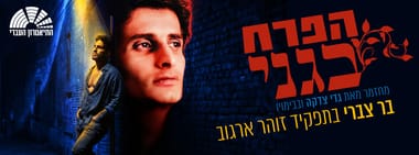 הפרח בגני - מחזמר בכיכובו של בר צברי