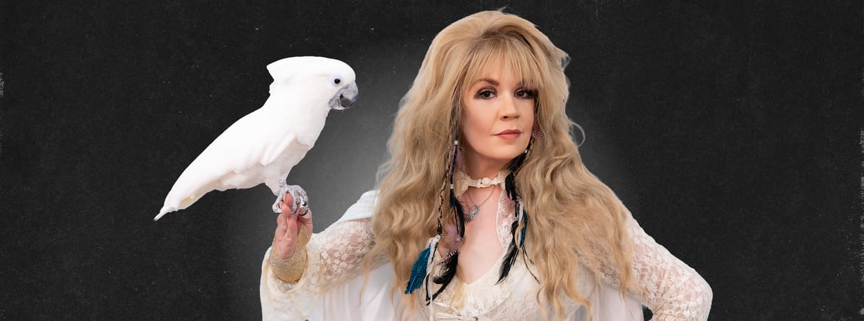 Night of Nicks - The Stories - The Music - Stevie Nicks & Fleetwood Mac