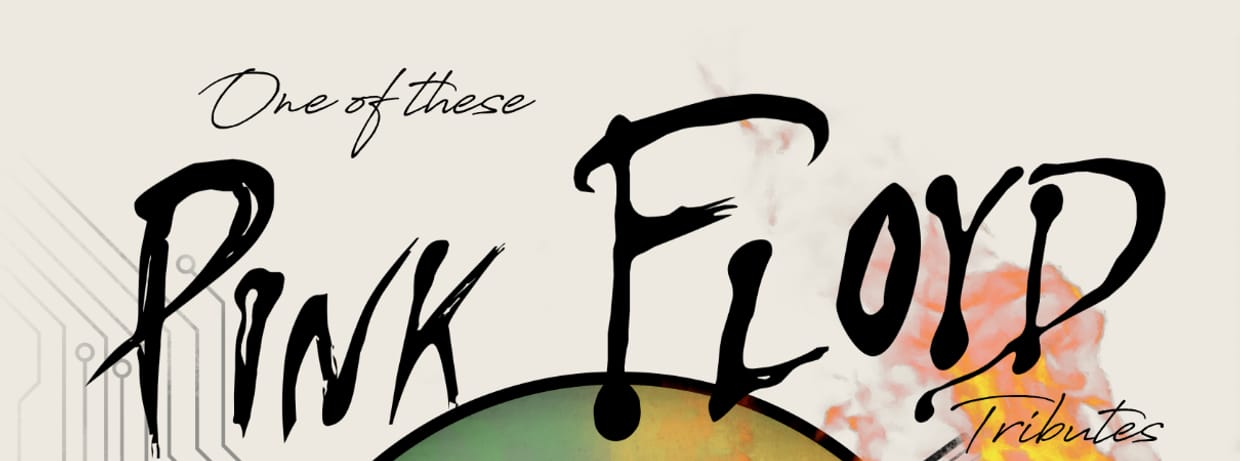 One of these PINK FLOYD tributes - 50 Jahre Wisch You Were Here