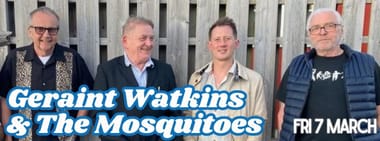 Geraint Watkins & The Mosquitoes