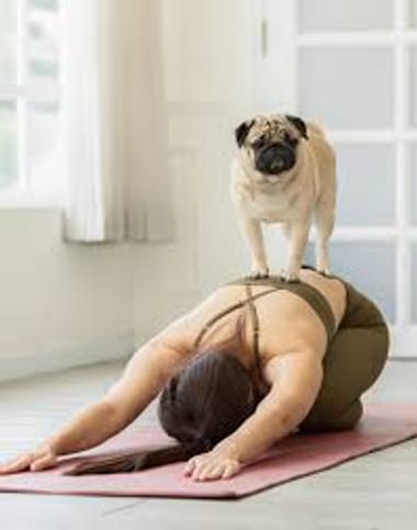 TUSC: Puppy Yoga!
