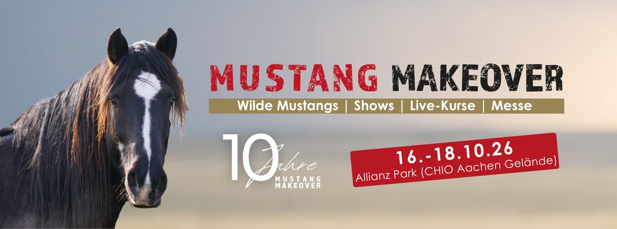 MUSTANG MAKEOVER