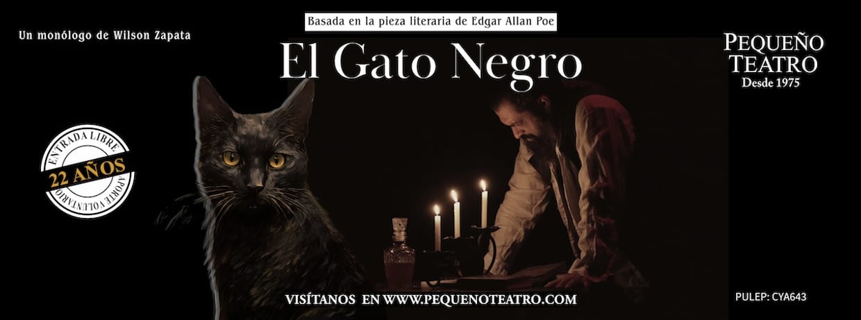 GATO NEGRO