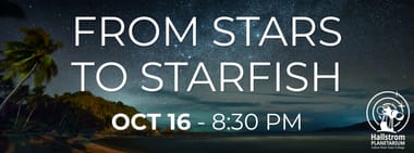 From Stars to Starfish