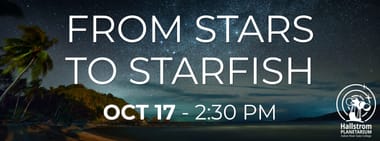 From Stars to Starfish