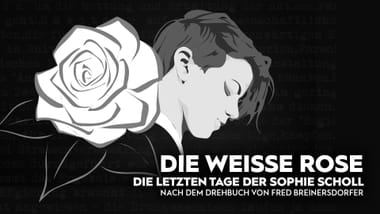 Die weisse Rose
