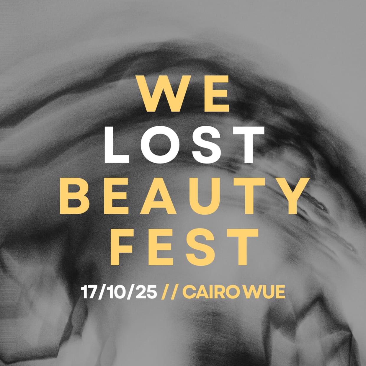 WE LOST BEAUTY FEST