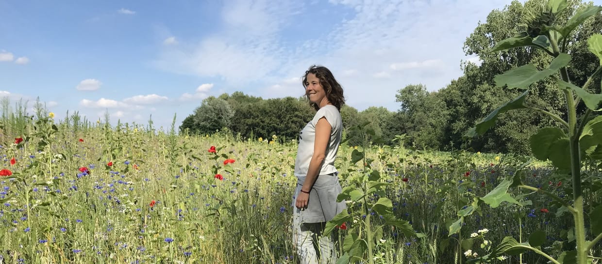 Wild en kruidig