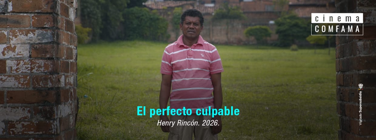 El perfecto culpable