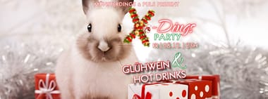 X-Dings Party | 08.12. | PULS Münster