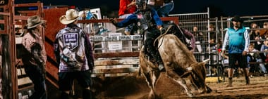 Bulls & Broncs