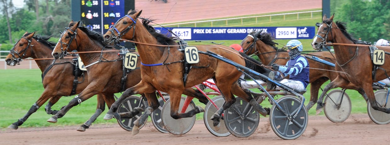 Courses de Trot