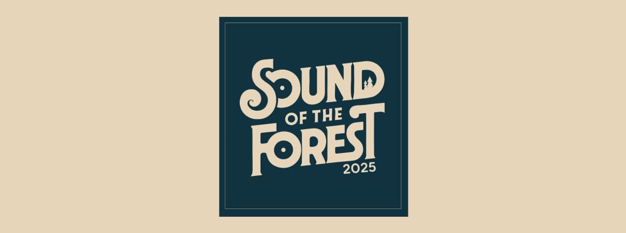 Sound of the Forest 2025