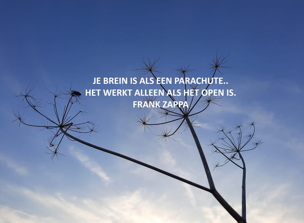 Hartcoherentie