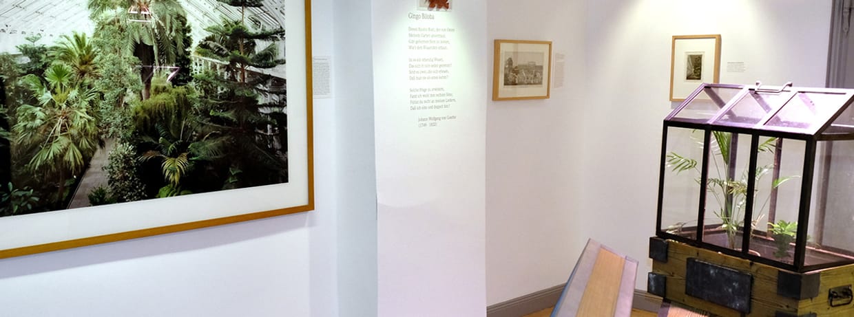 DIALOG | Rendezvous im Museum - Gartenkunstmuseum