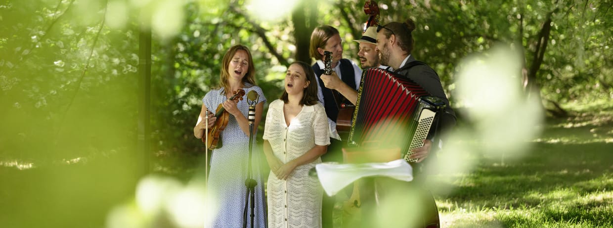 Hayde Bluegrass Orchestra