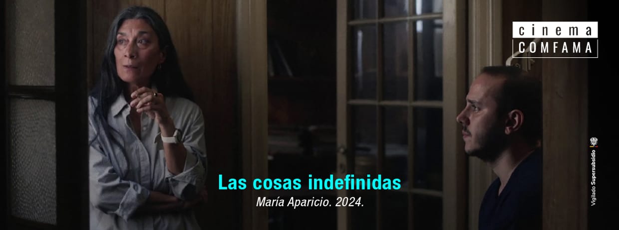 Las cosas indefinidas