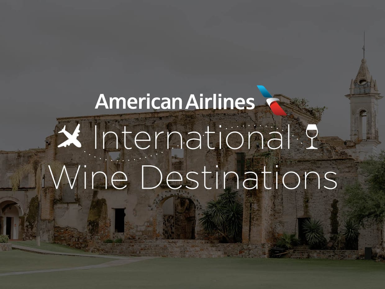 American Airlines International Wine Destination-Chile