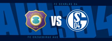 Testspiel FC Erzgebirge Aue - S04