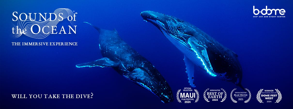 Sounds of the Ocean - EU