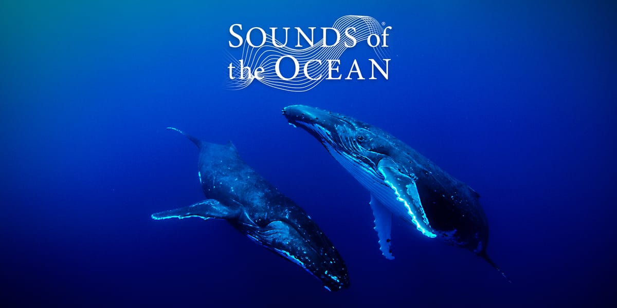 Sounds of the Ocean - USA