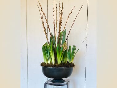 Wine & Design: Amy's Floral - Tabletop Spring Bulb Garden Workshop